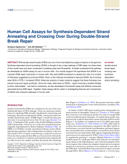 Human Cell Assays for Synthesis-Dependent Strand Annealing and