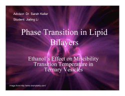 Phase Transition and Lipid Bilayers
