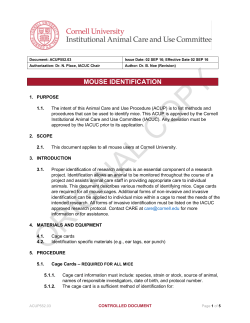 mouse identification