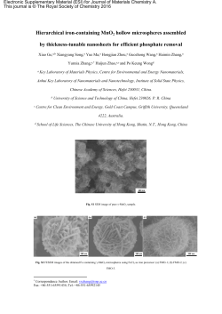 Hierarchical iron-containing MnO2 hollow microspheres assembled