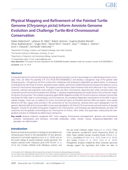 Physical Mapping and Refinement of the Painted Turtle Genome