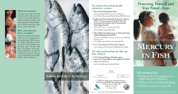 mercury in fish - County of Sonoma