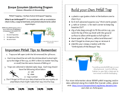 Build your Own Pitfall Trap Build your Own Pitfall