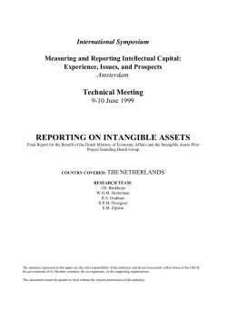reporting on intangible assets