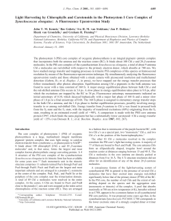 Light Harvesting by Chlorophylls and Carotenoids in the