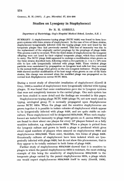 Studies on Lysogeny in Staphylococci