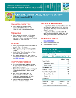 Corn Flakes Cereal
