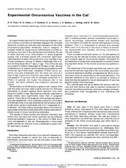 Experimental Oncornavirus Vaccines in the CaP