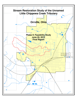 Stream Restoration Study of the Unnamed Little Chippewa Creek