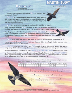How Birds Fly - Purple Martin Conservation Association