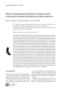 Effects of experimental perturbation of group structure on hierarchy