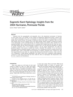 Eogenetic Karst Hydrology: Insights from the 2004 Hurricanes