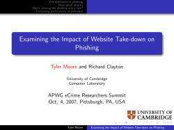 Examining the Impact of Website Take