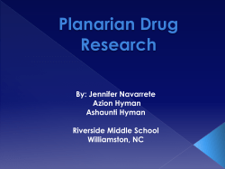 The Planarian Perspective What Flatworms Can Teach Us About