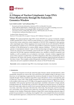 A Glimpse of Nucleo-Cytoplasmic Large DNA Virus Biodiversity