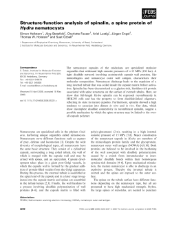 Structure/function analysis of spinalin, a spine protein of Hydra