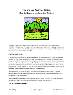 Find and Live Your True Calling: How to Navigate the