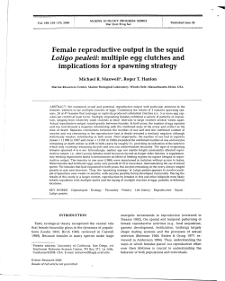 Female reproductive output in the squid Loligo pealeii: multiple egg