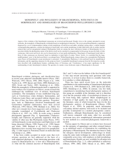 as a PDF