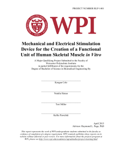 Mechanical and Electrical Stimulation Device for the Creation of a