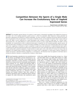 Competition Between the Sperm of a Single Male Can