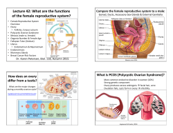 Lecture 42: What are the func0ons of the female