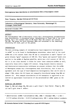 Heterogeneous base distribution in mitochandrial DNA of