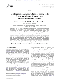 Biological characteristics of stem cells from foetal, cord blood and
