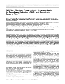 RAV-Like1 Maintains Brassinosteroid Homeostasis