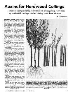Auxins for hardwood cuttings: Effect of root