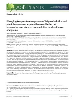 Diverging temperature responses of CO2 assimilation and plant