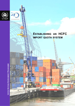Establishing an HCFC Import Quota System