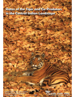 YV Jhala, R.Gopal, Q.Qureshi (2007). Status of the Tigers