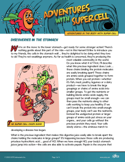 Discoveries in the Stomach