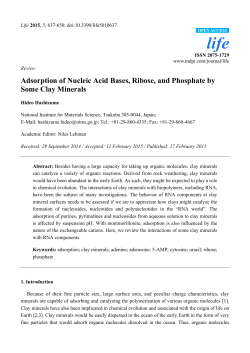 Adsorption of Nucleic Acid Bases, Ribose, and Phosphate by Some