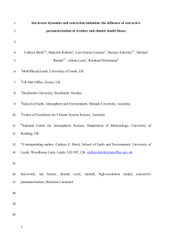 Sea breeze dynamics and convection initiation