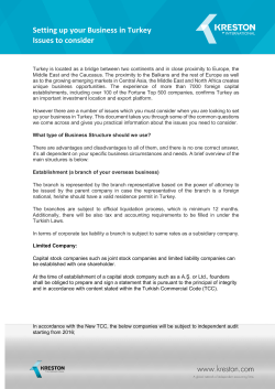 Setting up your Business in Turkey Issues to consider