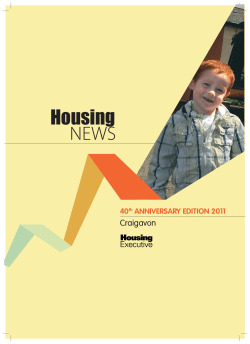 Craigavon - The Housing Executive