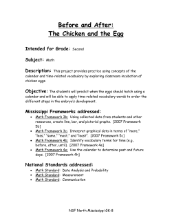 Ole Miss - Before and After the Chicken and the Egg Activities