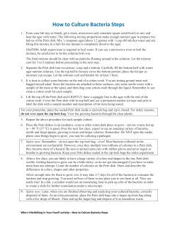 How to Culture Bacteria Steps