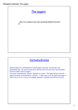 Biological molecules: The sugars - Cambridge College Secondary