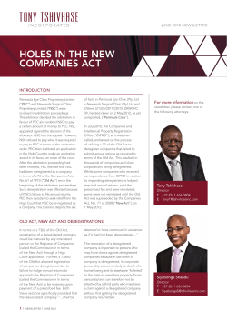 HOLES IN THE NEW COMPANIES ACT