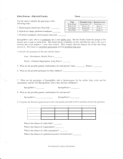 Bikini Bottom-Dihybrid cross