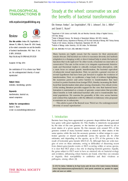 Steady at the wheel: conservative sex and the benefits of bacterial