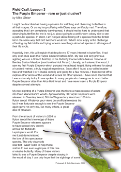 The Purple Emperor - Butterfly Conservation Warwickshire