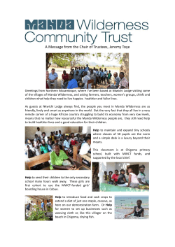 A Message from the Chair of Trustees, Jeremy Toye