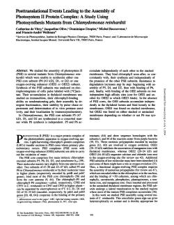 Posttranslational Events Leading to the Assembly of Photosystem II