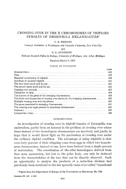 Crossing over in the X chromosomes of triploid females of