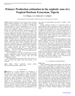 Primary Production estimation in the euphotic zone