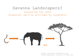 Savanna Landscapers?